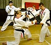 Taekwondo Class in Action